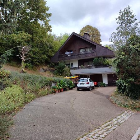 Appartement Feldbergsicht à Lenzkirch Extérieur photo