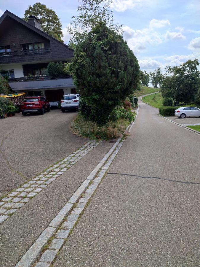 Appartement Feldbergsicht à Lenzkirch Extérieur photo