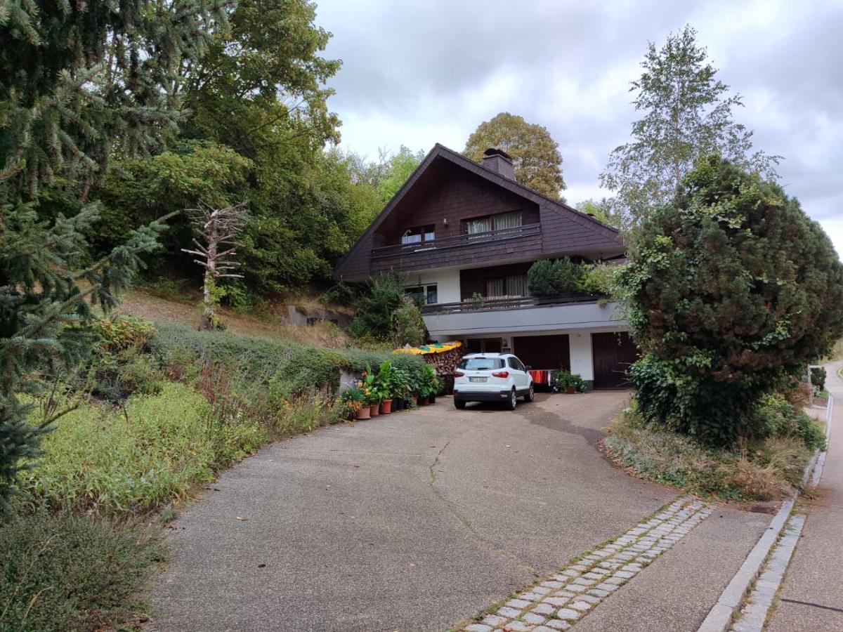 Appartement Feldbergsicht à Lenzkirch Extérieur photo