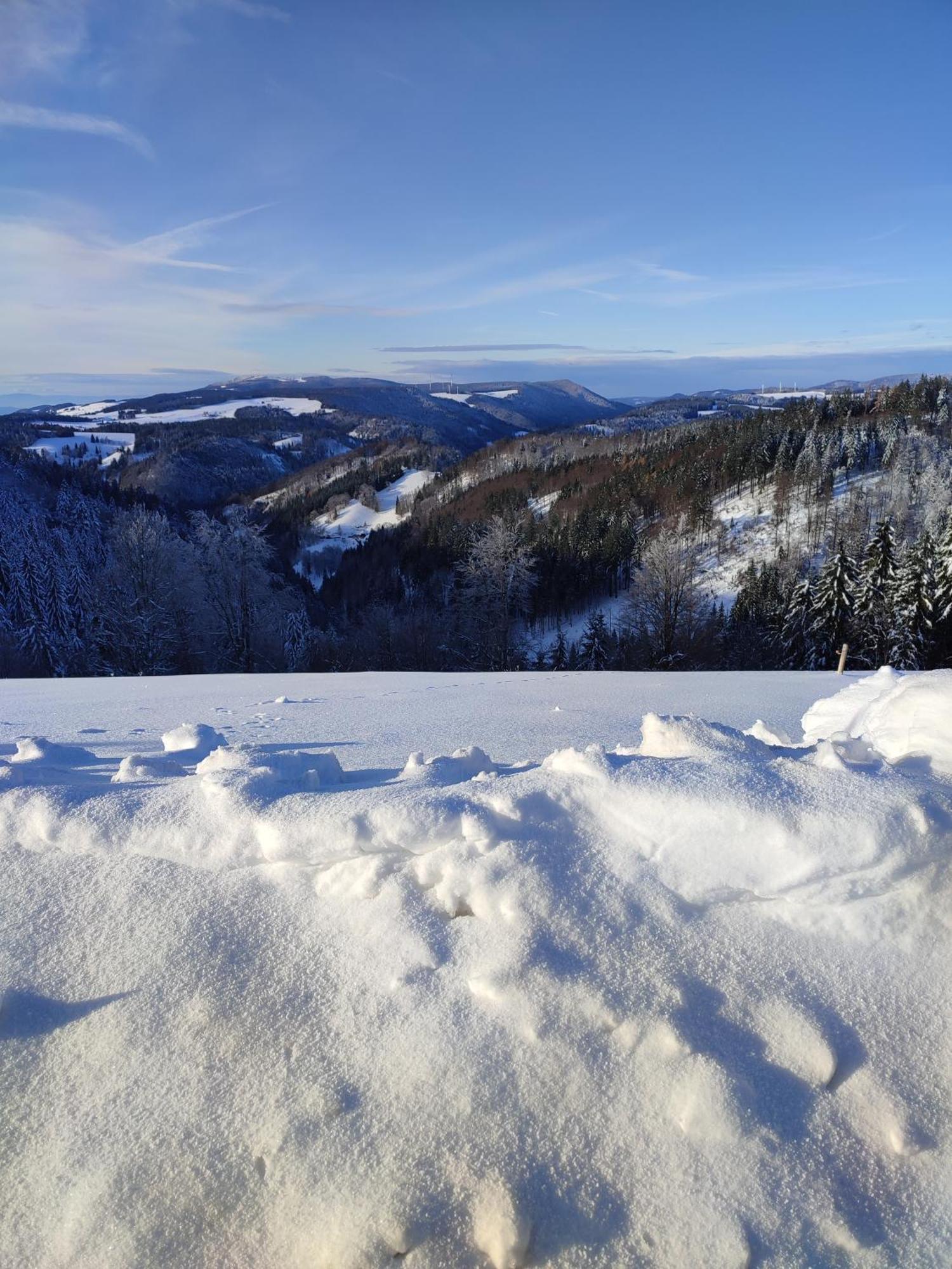 Appartement Feldbergsicht à Lenzkirch Extérieur photo